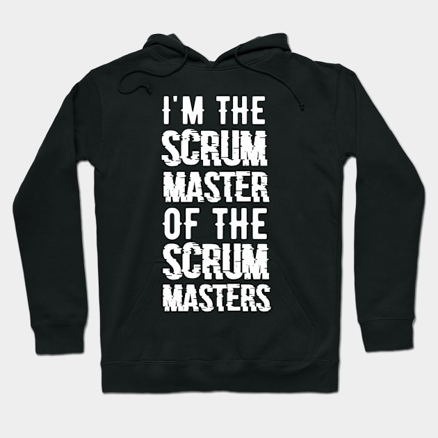 Scrum Master Agile Projectmanagement T-Shirt Hoodie by EQDesigns